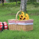 Outdoor Picnic Basket Wicker Hand Basket With Cover - Image 5