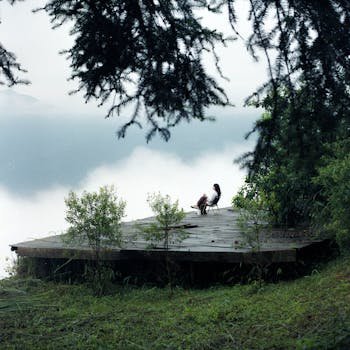 A woman relaxes on a deck surrounded by misty forest scenery in Hà Giang, Vietnam.